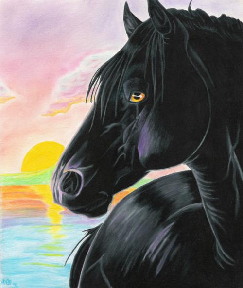 drawing