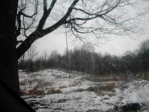 <img300*0:http://elftown.heddate.com/img/drawing/116994_1109515876.jpg>