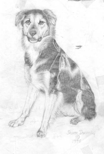 <img350*0:http://elftown.heddate.com/img/drawing/119747_1114495958.jpg>