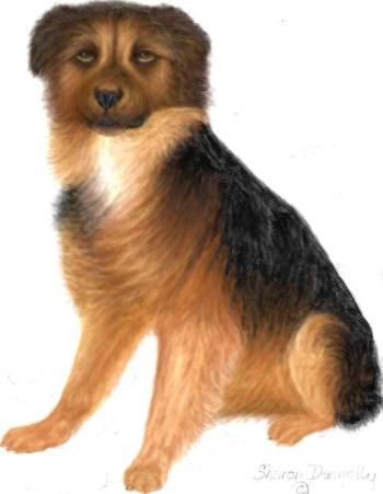 <img350*0:http://elftown.heddate.com/img/drawing/119747_1114531670.jpg>