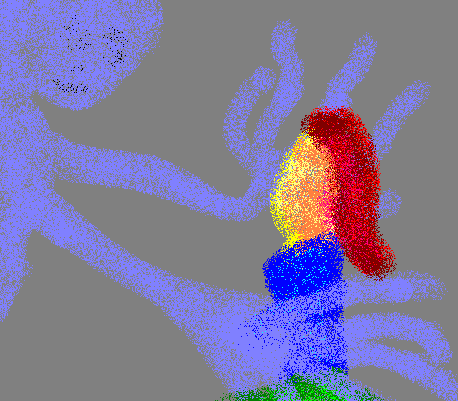 drawing