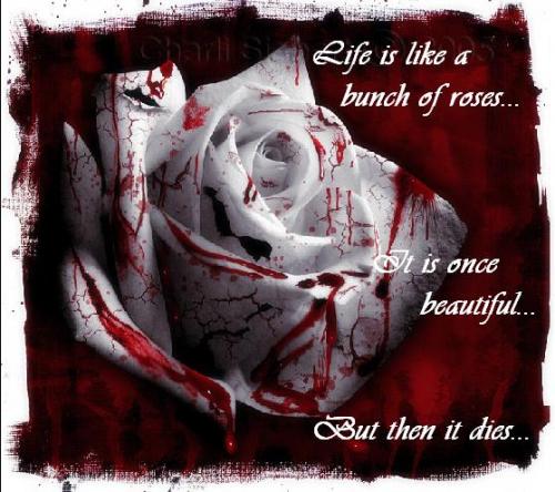 <img://elftown.heddate.com/img/drawing/129016_1135123682.jpg>