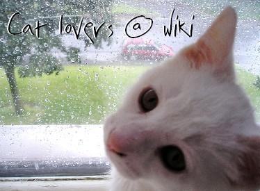 <img:http://elftown.heddate.com/img/drawing/132336_1168885529.jpg>