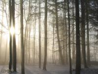 <img0*150:img/drawing/13273_1109889036.jpg>