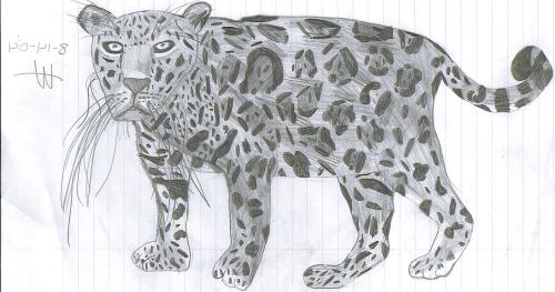 drawing