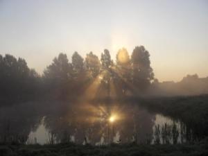 <img300*0:http://elftown.heddate.com/img/drawing/136330_1127320515.jpg>