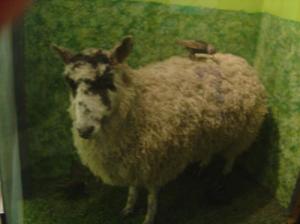 <img300*0:http://elftown.heddate.com/img/drawing/141791_1140819578.jpg>