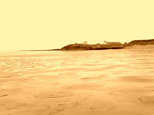 <img:http://elftown.heddate.com/img/drawing/141791_1167610996.jpg>