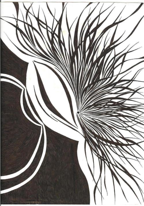 drawing