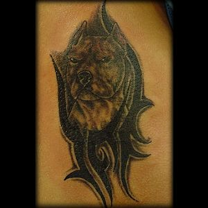 drawing