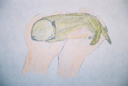 <img:http://elftown.heddate.com/img/drawing/145102_1131331223.jpg>