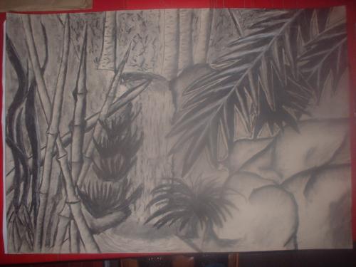 drawing
