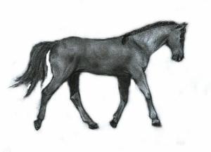 <img300*0:http://elftown.heddate.com/img/drawing/151116_1170305315.jpg>