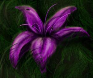<img300*0:http://elftown.heddate.com/img/drawing/151116_1226795477.jpg>
