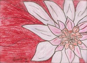 <img300*0:img/drawing/152671_1230138508.jpg?y=0&x=300>
