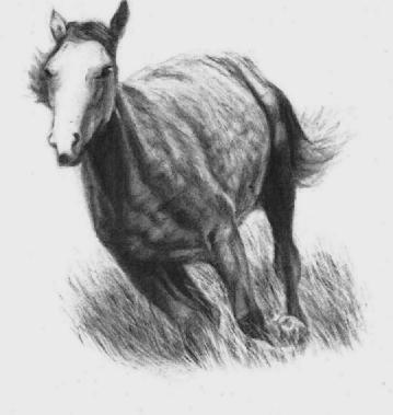 <img:http://elftown.heddate.com/img/drawing/15452_1128884415.jpg>