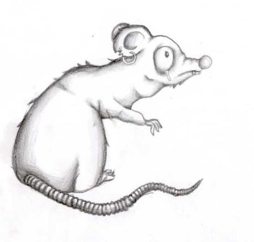 drawing