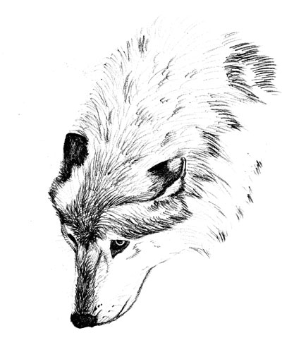 drawing