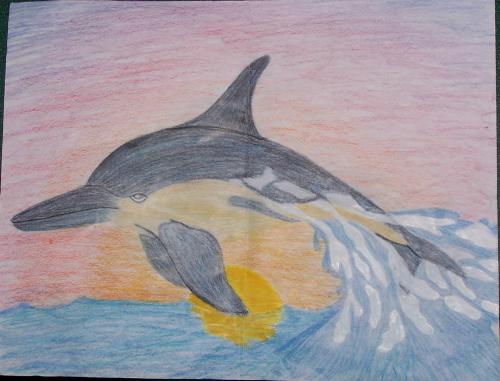 drawing