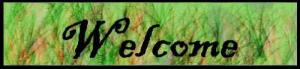 <img300*0:http://elftown.heddate.com/img/drawing/166146_1147897469.jpg>