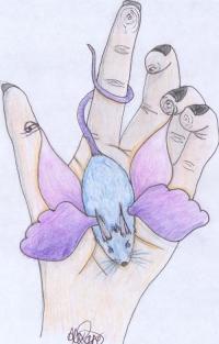 <img200*0:http://elftown.heddate.com/img/drawing/167457_1164219322.jpg>
