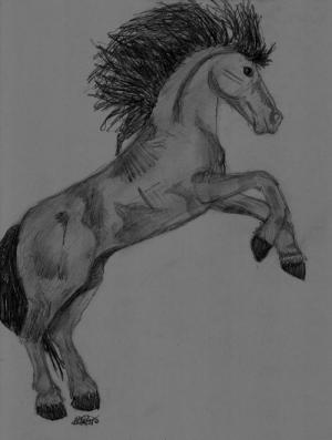 <img300*0:http://elftown.heddate.com/img/drawing/167457_1170098607.jpg>