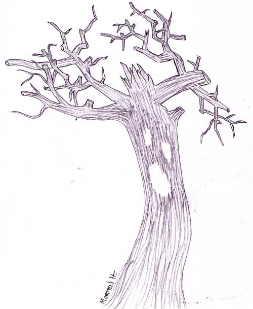 drawing
