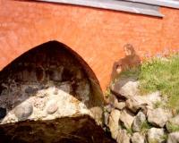 <img200*0:http://elftown.heddate.com/img/drawing/16875_1147799392.jpg>