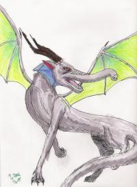 <img200*0:img/drawing/17289_1175821153.jpg>