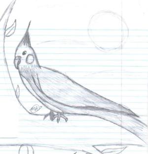 <img300*0:http://elftown.heddate.com/img/drawing/174525_1193445449.jpg>