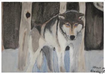 <img350*0:http://elftown.heddate.com/img/drawing/176812_1208236355.jpg>