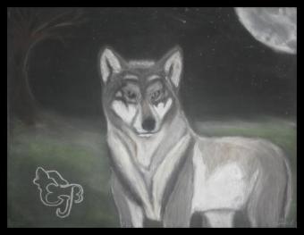 <img340*0:http://elftown.heddate.com/img/drawing/176812_1208237306.jpg>