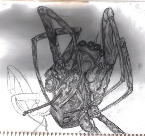 <img:http://elftown.heddate.com/img/drawing/177025_1190137209.jpg>