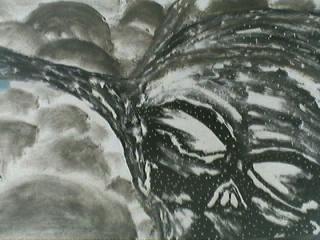 drawing