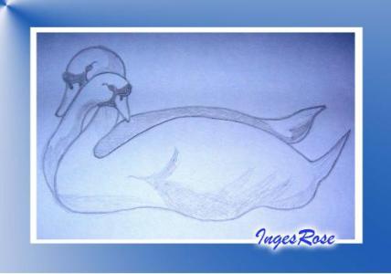 <img:img/drawing/178752_1151090999.jpg?y=300>