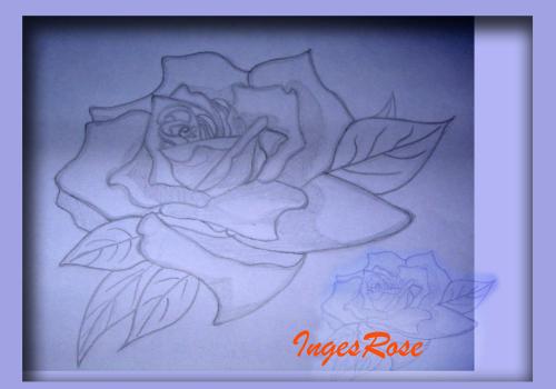 drawing