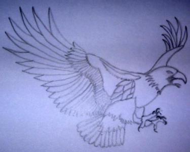 <img:img/drawing/178752_1156069279.jpg?y=300>