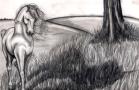 <img0*90:http://elftown.heddate.com/img/drawing/17929_1141302936.jpg>