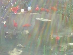 <img300*0:img/drawing/180931_1249414754.jpg>