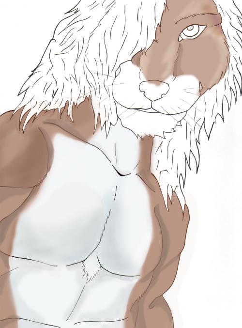 drawing