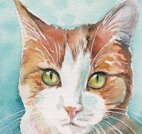 <img:http://elftown.heddate.com/img/drawing/181520_1245202171.jpg>