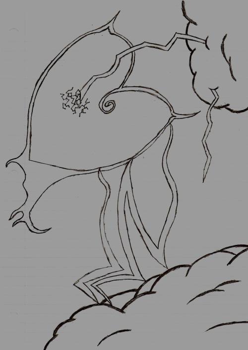 drawing