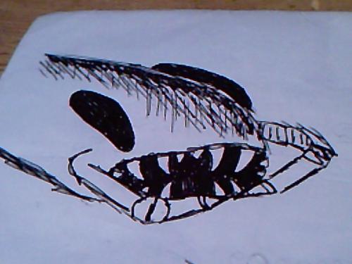<img:http://elftown.heddate.com/img/drawing/183682_1210057069.jpg>