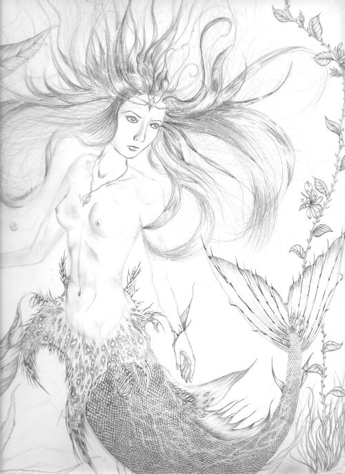 drawing