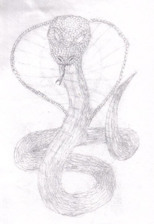 <img:http://elftown.heddate.com/img/drawing/184150_1196191435.jpg?>
