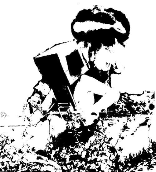 drawing