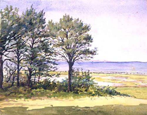drawing