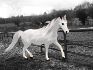 <img300*0:http://elftown.heddate.com/img/drawing/184889_1214256194.jpg>