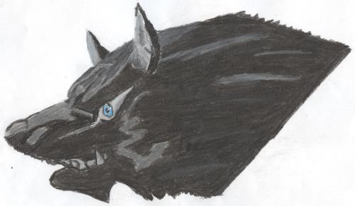 drawing