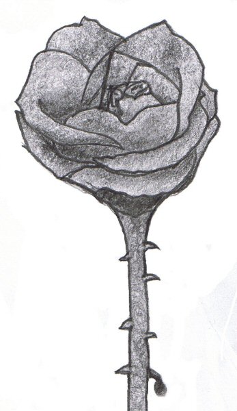 drawing